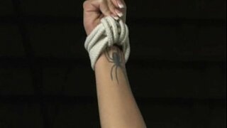 Harmonia - Puta Prestakuntza - movie Osoa